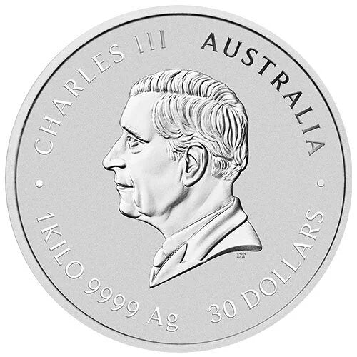 1 Kilo Silber Lunar III Schlange 2025