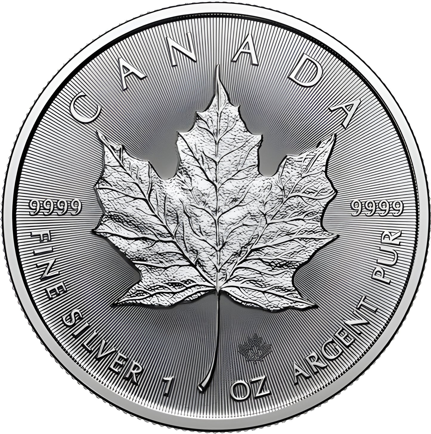1 Unze Silber Maple Leaf 2025
