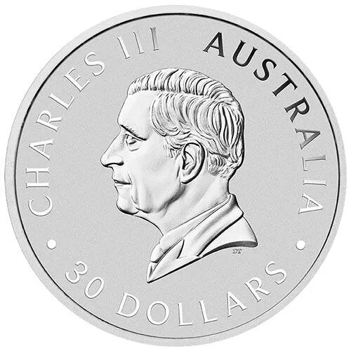1 Kilo Silber Koala 2025