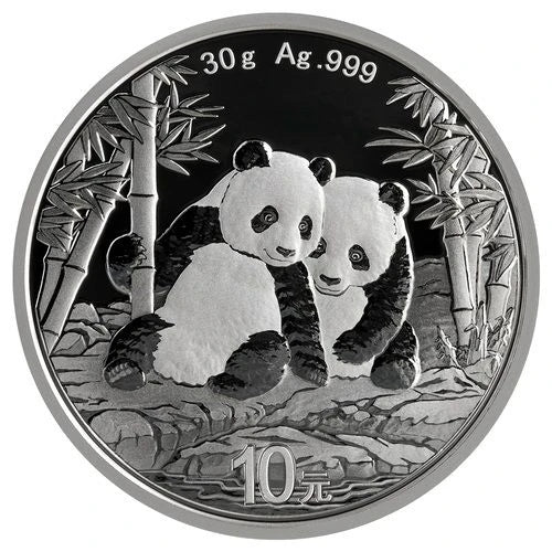 30 Gramm Silber China Panda 2026 Goldmünze China Mint 30 Gramm | Glänzend Vorsorgen