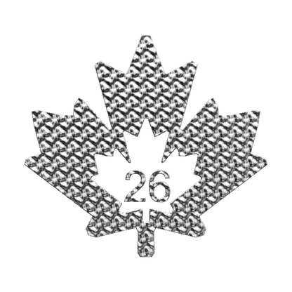 1 Unze Silber Maple Leaf 2026 Silbermünze Royal Canadian Mint 1 Unze | Glänzend Vorsorgen